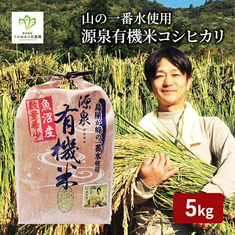 令和8年産 先行予約 山の一番水使用 源泉有機米コシヒカリ 精米5kg 米 こめ お米 コメ こしひかり 新潟県 魚沼市 魚沼 魚沼産 お届け:10月上旬より順次発送