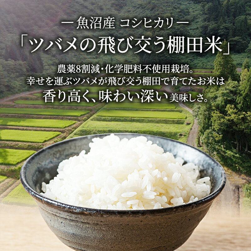 【ふるさと納税】令和8年産 先行予約 ツバメの飛び交う棚田米 精米3kg お米 白米 ライス ご飯 ブランド米 銘柄米 コシヒカリ 魚沼産コシヒカリ 新潟県産 魚沼市産 　お届け：10月上旬より順次発送 f152251-uonumashi-10000907 新潟県魚沼市 ふるさと納税 サンプル画像2