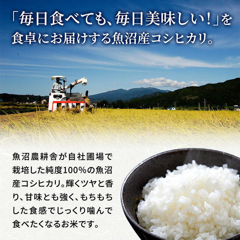 【ふるさと納税】【令和8年産　先行予約】有機JAS認証米 米農家自慢の 魚沼産 コシヒカリ玄米3kg×1袋 米 お米 こめ こしひかり 玄米 有機 新潟県 魚沼市 魚沼　お届け：2026年10月より順次出荷