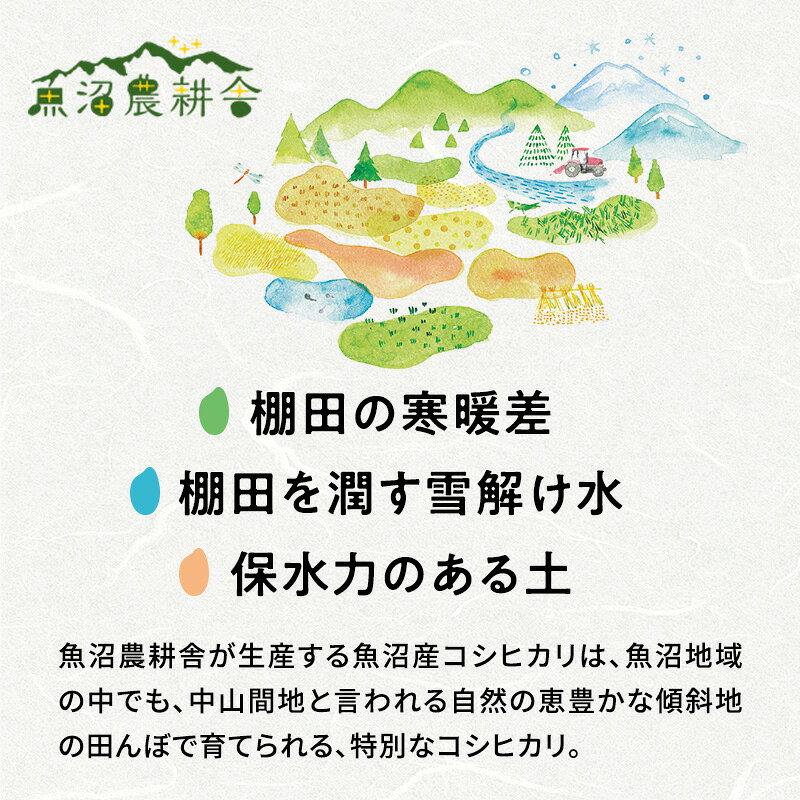 ふるさと納税 令和8年産 先行予約 有機JAS認証米 米農家自慢の 魚沼産 コシヒカリ玄米3kg×1袋 米 お米 こめ こしひか f152251-uonumashi-10000878 新潟県魚沼市 ふるさと納税 サンプル画像3