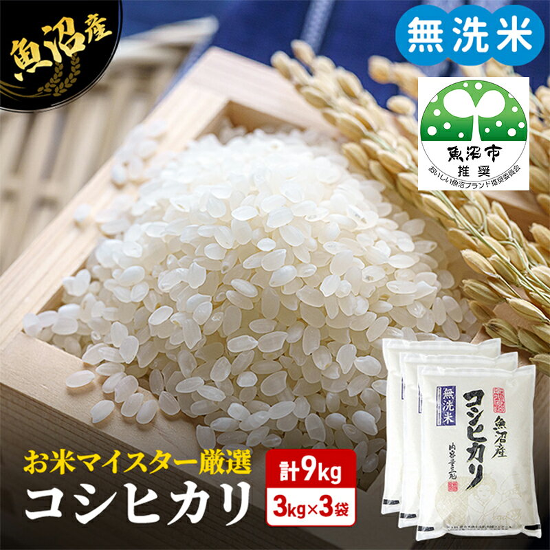 【ふるさと納税】無洗米コシヒカリ9...