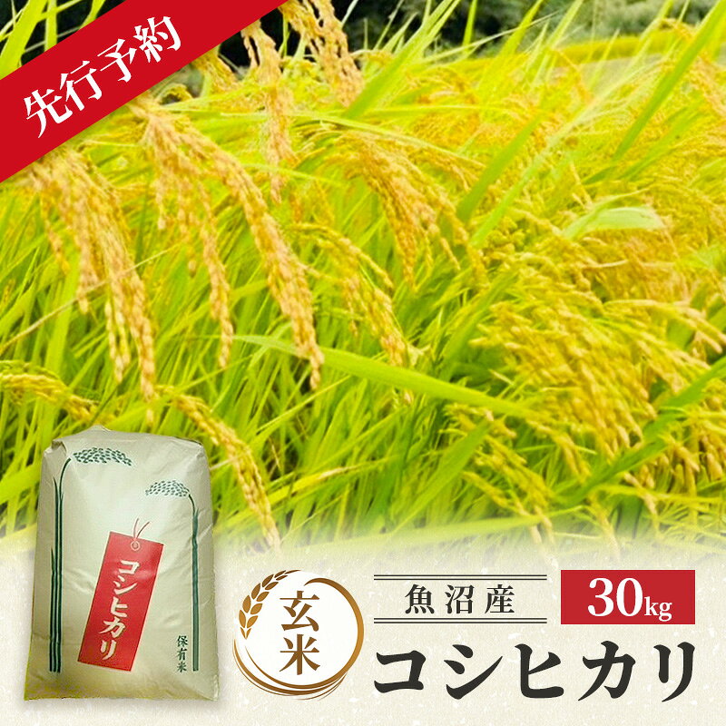 [令和8年産 新米先行受付]魚沼産コシヒカリ 特別栽培米 (玄米) 30kg 米 コメ こしひかり ブランド米 お取り寄せ 魚沼市 お届け:2026年10月上旬〜2027年9月下旬まで