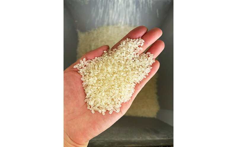 【ふるさと納税】【令和8年産 新米先行受付】魚沼産コシヒカリ 特別栽培米 (玄米) 30kg 米 コメ こしひかり ブランド米 お取り寄せ 魚沼市　お届け：2026年10月上旬～2027年9月下旬まで f152251-uonumashi-10000932 新潟県魚沼市 ふるさと納税 サンプル画像2