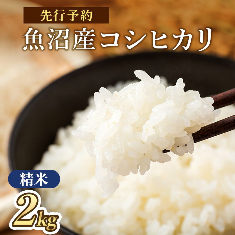 [令和8年産 新米先行受付]魚沼産コシヒカリ 特別栽培米 (精米)2kg 米 こしひかり 魚沼市 お届け:2026年10月上旬〜2027年9月下旬まで