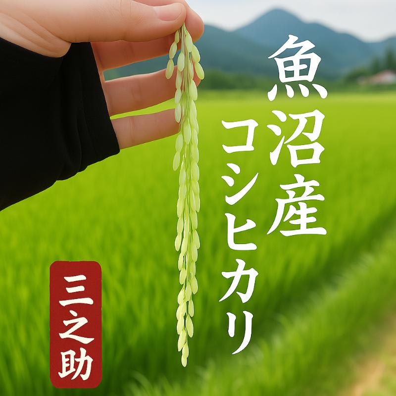 【ふるさと納税】【令和8年産 新米先行受付】魚沼産コシヒカリ 特別栽培米 （精米）2kg 米 こしひかり 魚沼市　お届け：2026年10月上旬～2027年9月下旬まで f152251-uonumashi-10000933 新潟県魚沼市 ふるさと納税 サンプル画像2