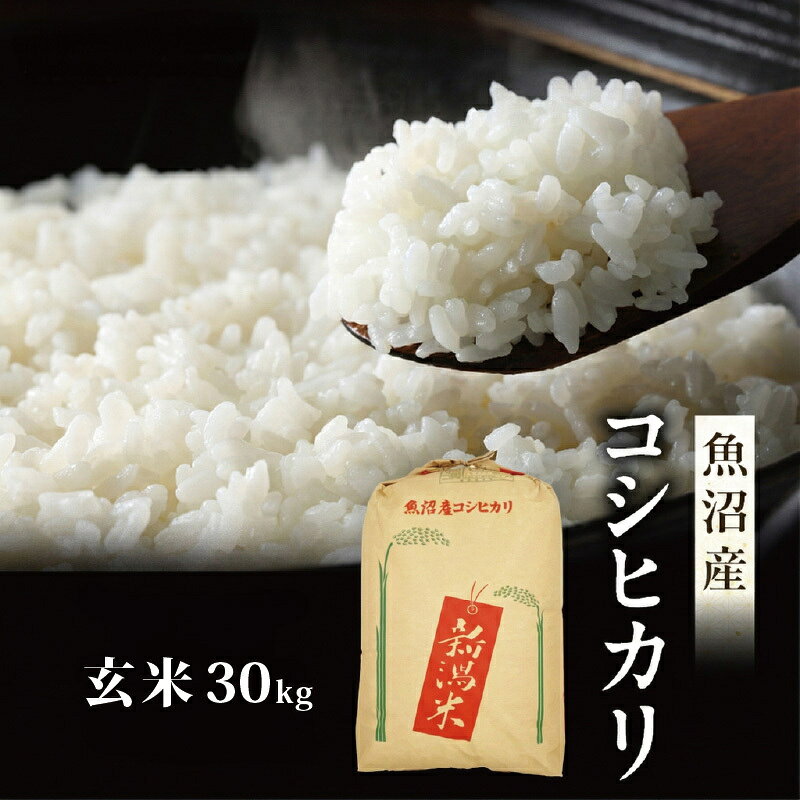 【ふるさと納税】【先行予約】令和8年産 真砂屋厳選 魚沼産コシヒカリ（玄米）30kg お米 コメ こしひかり 新潟県 魚沼市 魚沼　お届け：2026年9月下旬～2027年9月下旬