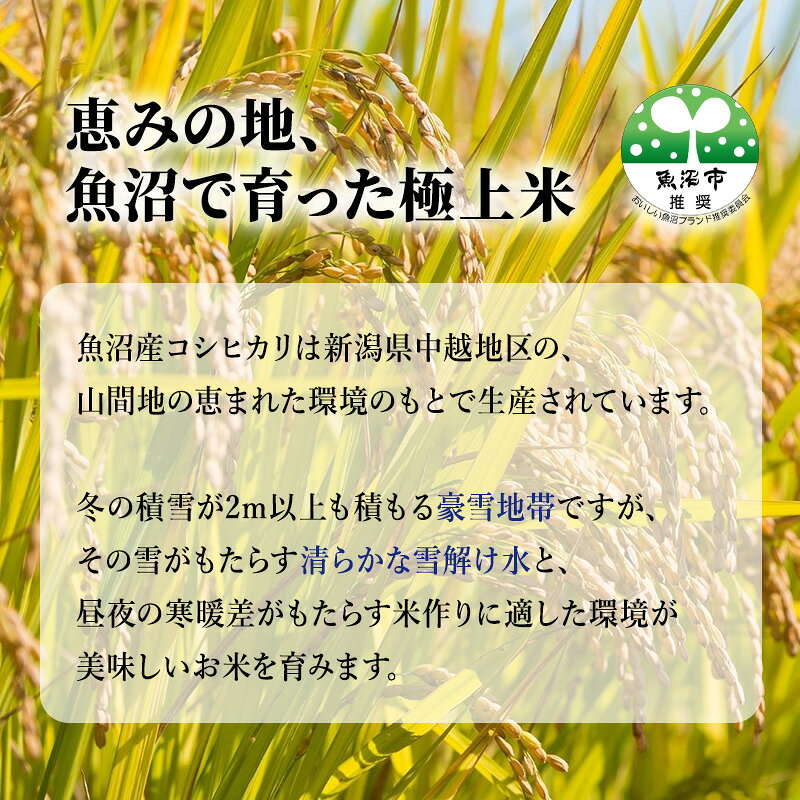 【ふるさと納税】【先行予約】令和8年産 【特別栽培米】 お米アドバイザー厳選 魚沼産コシヒカリ (精米) 5kg （ 米 精米 白米 お米 こめ コメ こしひかり コシヒカリ 魚沼 ） 　お届け：2026年10月中旬より順次出荷 f152251-uonumashi-10000939 新潟県魚沼市 ふるさと納税 サンプル画像2