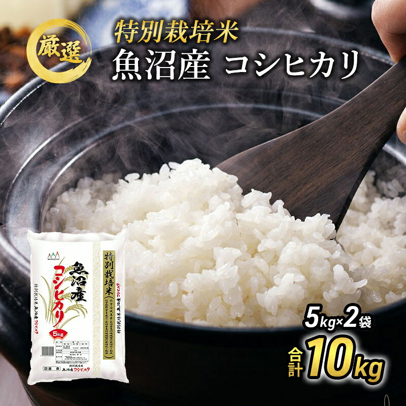 魚沼産コシヒカリ