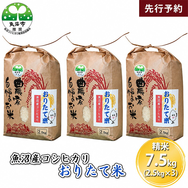 【ふるさと納税】【先行予約 令和8年産】 魚沼産コシヒカリ おりたて米 （精米）7.5kg（2.5kg×3） お米　お届け：2026年10月上旬～2027年9月下旬
