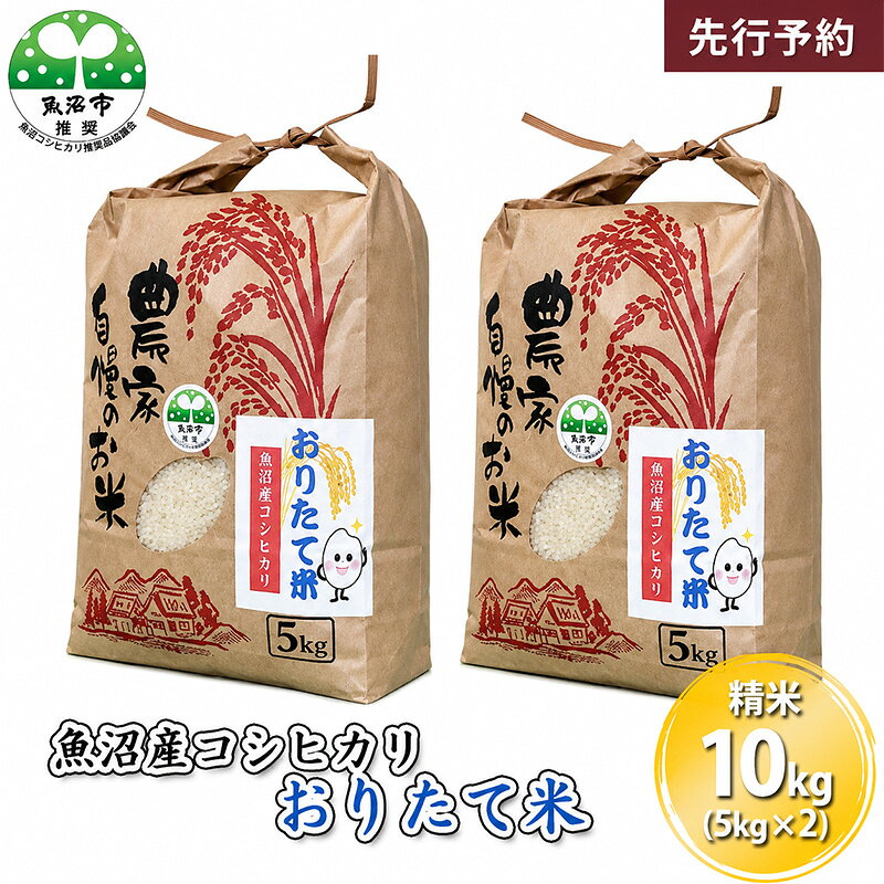 【ふるさと納税】【先行予約 令和8年産】 魚沼産コシヒカリ おりたて米 （精米）10kg（5kg×2） お米　お届け：2026年10月上旬～2027年9月下旬