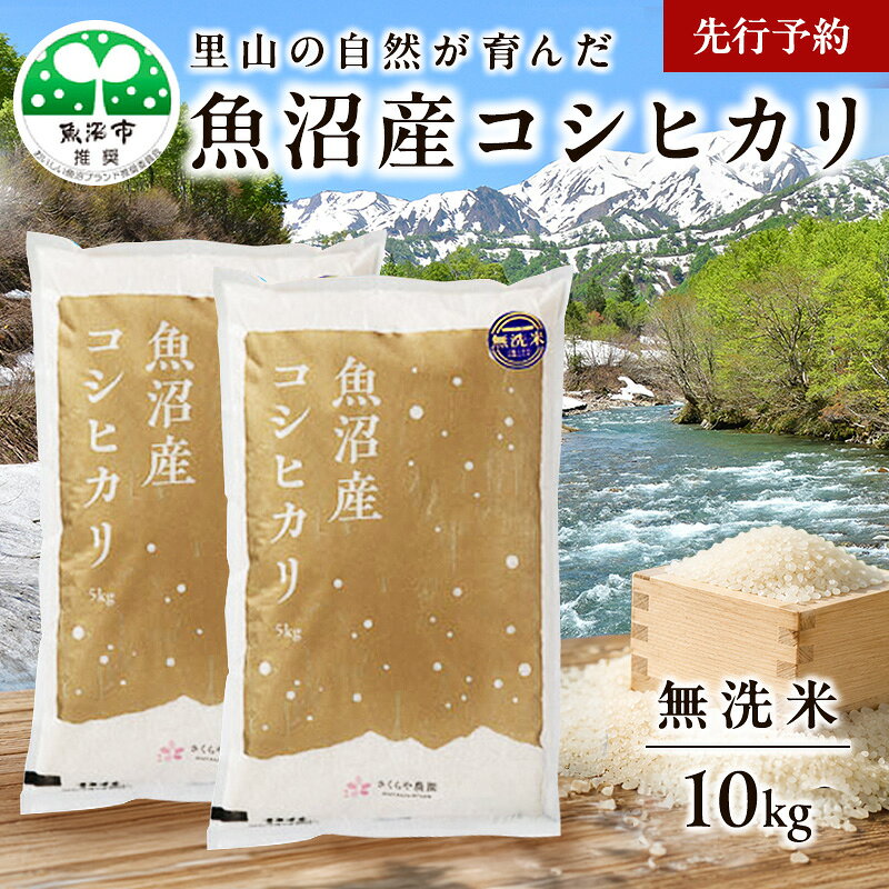 【ふるさと納税】【先行予約 令和8年産】さくらや農園 魚沼産コシヒカリ 無洗米10kg（5kg×2袋） お米 　お届け：2026年10月下旬頃より順次発送