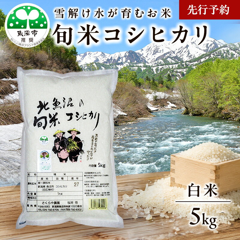 【ふるさと納税】【先行予約 令和8年産】魚沼産 コシヒカリ 魚沼の旬米コシヒカリ 精米 5kg お米　お届け：2026年10月下旬頃より順次発送