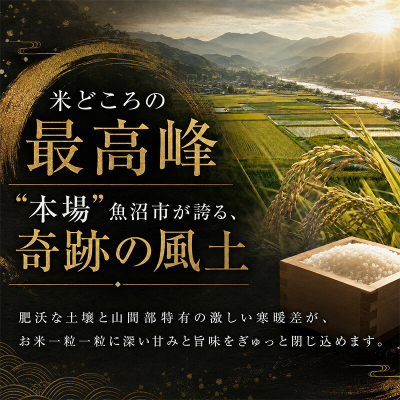 【ふるさと納税】【令和8年産 先行予約】 魚沼産コシヒカリ 無洗米 5kg（5kg×1）　お届け：2026年10月下旬～2027年10月下旬まで f152251-uonumashi-10000918 新潟県魚沼市 ふるさと納税 サンプル画像2