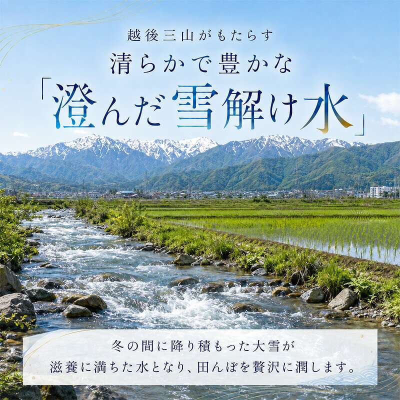 【ふるさと納税】【令和8年産 先行予約】 魚沼産コシヒカリ 無洗米 5kg（5kg×1）　お届け：2026年10月下旬～2027年10月下旬まで f152251-uonumashi-10000918 新潟県魚沼市 ふるさと納税 サンプル画像3