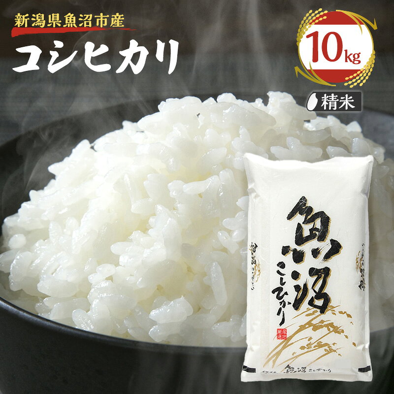令和8年産【雪国逸品 精米10kg】越後魚沼郷 魚沼産コシヒカリ