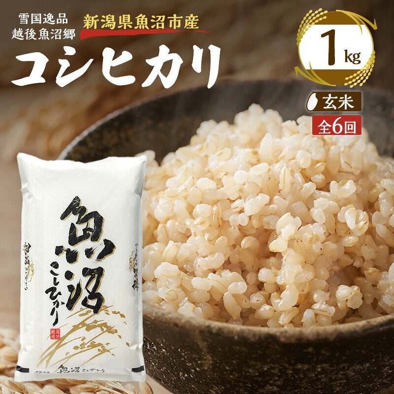 【定期便：雪国逸品 玄米1kg×6ヶ月】越後魚沼郷 魚沼産コシヒカリ