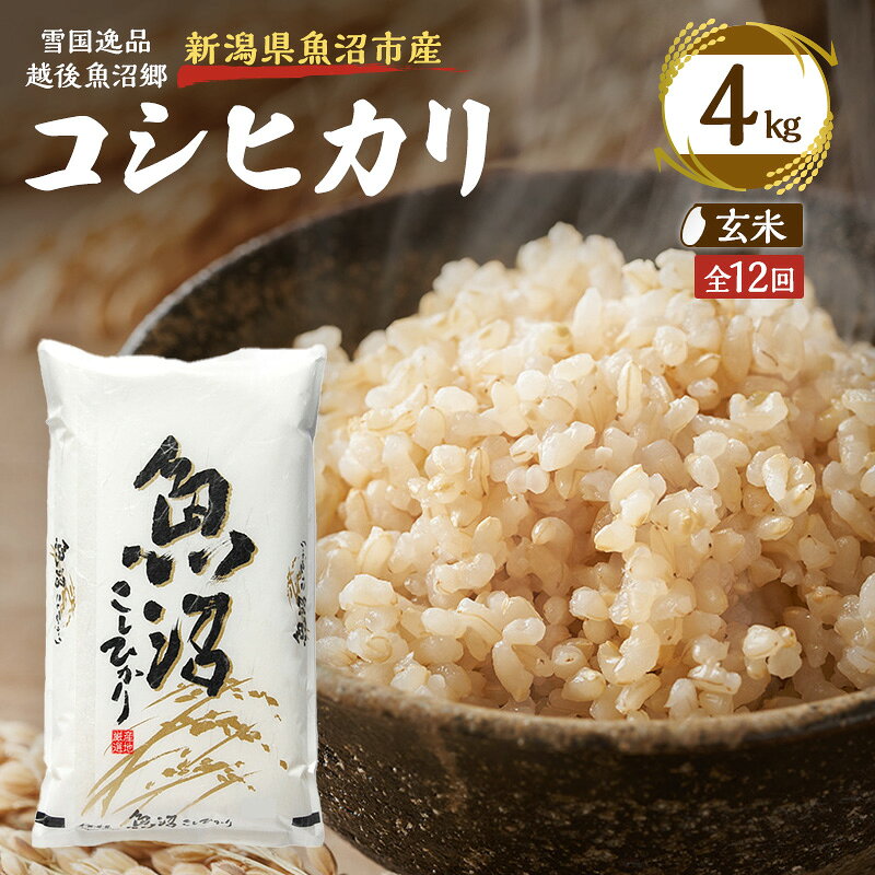 【定期便：雪国逸品 玄米4kg×12ヶ月】越後魚沼郷 魚沼産コシヒカリ
