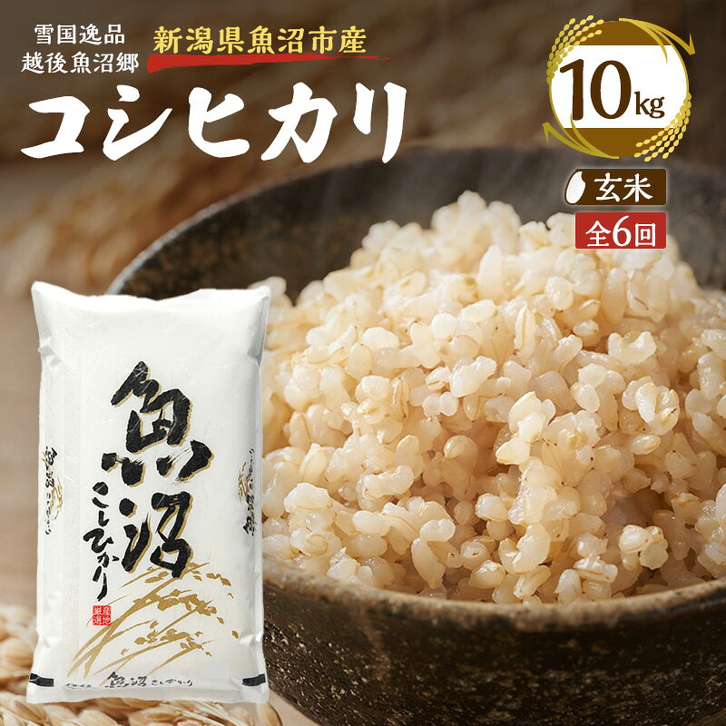 【定期便：雪国逸品 玄米10kg×6ヶ月】越後魚沼郷 魚沼産コシヒカリ