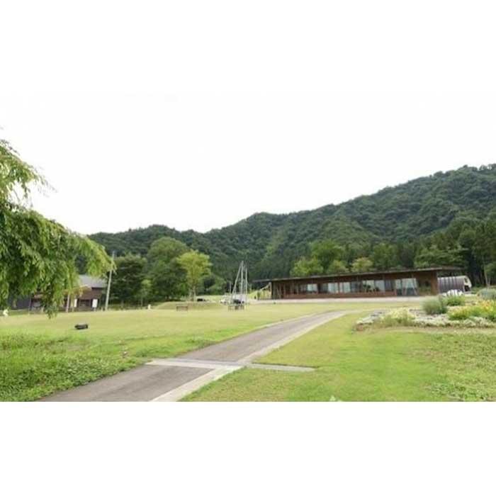 南魚沼市 ふるさと納税 株式会社内山肉店　【ふるさと納税】牛肉 にいがた和牛 ヒレ 750g ( 150g × 5枚 ) A4・5 シャトーブリアン ヒレステーキ | 肉 お肉 にく 食品 南魚沼産 人気 おすすめ 送料無料 ギフト