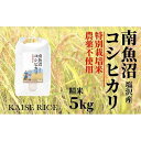 【ふるさと納税】【頒布会】南魚沼産塩沢コシヒカリ【従来品種】（農薬不使用）精米5kg×全3回