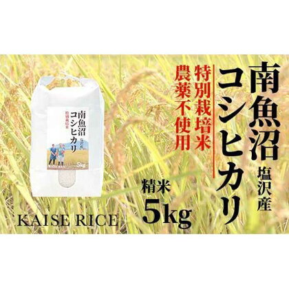 【頒布会】南魚沼産塩沢コシヒカリ【従来品種】（農薬不使用）精米5kg×全6回 | お米 こめ 白米 コシヒカリ 食品 人気 おすすめ 送料無料 魚沼 南魚沼 南魚沼市 新潟県産 新潟県 精米 産直 産地直送 お取り寄せ お楽しみ