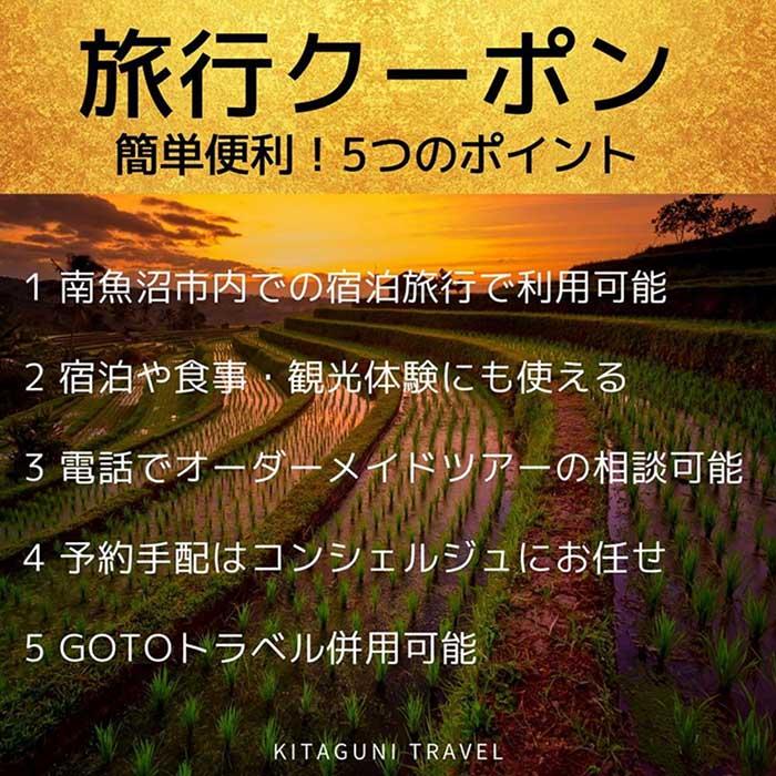 【ふるさと納税】旅行クーポン券（30,000円分）GOTOトラベル併用可能 【南魚沼市】 ふるさと納税 新潟県 八海山 スキー リゾート ホテル 旅館 旅行券 宿泊券 宿泊 チケット 観光 国内旅行 送料無料その2