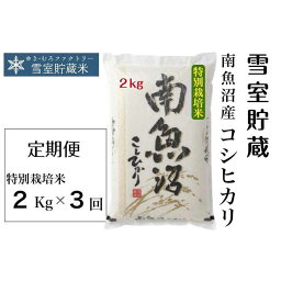 【ふるさと納税】米 定期便 6kg ( 2kg × 3ヶ月 ) お米 雪室貯蔵 こしひかり 新潟 南魚沼 魚沼産 南魚沼産 白米 | お米 こめ 白米 コシヒカリ 食品 人気 おすすめ 送料無料 魚沼 南魚沼 南魚沼市 新潟県産 新潟県 精米 産直 産地直送 お取り寄せ お楽しみ