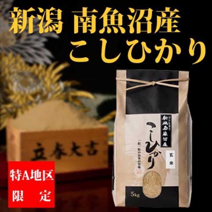 【ふるさと納税】【令和6年産 新米】【厳選】米 定期便 玄米