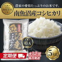 【ふるさと納税】【定期便】新潟県 南魚沼産 コシヒカリ お米 5kg 計12回 精米 魚沼 米 こしひかり 送料無料 年間 毎月発送 炊き方ガイド付き