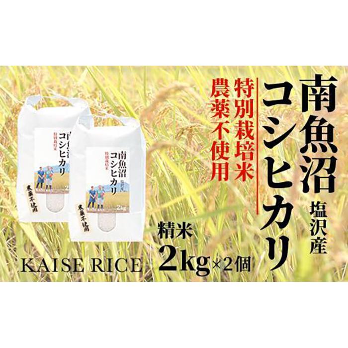 南魚沼産塩沢コシヒカリ[従来品種](農薬不使用)精米2kg×2個 | お米 こめ 白米 コシヒカリ 食品 人気 おすすめ 送料無料 魚沼 南魚沼 南魚沼市 新潟県産 新潟県 精米 産直 産地直送 お取り寄せ