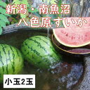 ・ふるさと納税よくある質問はこちら ・寄付申込みのキャンセル、返礼品の変更・返品はできません。あらかじめご了承ください。 ・ご要望を備考に記載頂いてもこちらでは対応いたしかねますので、何卒ご了承くださいませ。 ・寄付回数の制限は設けておりません。寄付をいただく度にお届けいたします。 商品概要 「八色原すいか」はシャリとしたバツグンの舌ざわりと「甘い」と評判の全国的に有名な高級ブランドすいかです！ 水はけのよい火山灰土の畑に八海山から大量に流れるミネラルたっぷりの雪解け水がスイカに与えられます。また、生産地の八色原は昼夜の寒暖の差が大きく、この寒暖差がすいかを甘くします。黒色火山灰土の土壌など、すいか栽培に最適な条件を備えた土地で、日中は日差しで暖められ、夜は低温で冷やされます。この繰り返しが糖度を高くします。これが八色原すいかの美味しさの秘密なのです。 真っ赤な果肉ギッシリと詰まった『八色原すいか』シャリッとしたすいかの歯ごたえ、ジュワッと広がるすいかの果汁！ 暑い夏、ひんやり冷やした極上すいかで夏のひとときを満喫してください！ ※写真はイメージです。 ※受付順に順次発送するため、お届けまでお時間を頂いております。 ※天候等により農産物の育成に影響が出た場合、ご希望の時期に配送できないことがあります。 ※着日指定配送は出来かねます。ご了承ください。 【お問合せ先】発送事業者（うどん屋キツネ　TEL：080-1327-6601） 関連キーワード：フルーツ 果物 くだもの 食品 人気 おすすめ 送料無料 内容量・サイズ等 原材料：小玉すいか 内容量：2玉 （1玉：約1.2～2.5kg） ※1玉は重さの選定しております。 賞味期限 5日～7日※到着後出来るだけ早くお召し上がりください。 配送方法 常温 発送期日 2024年7月16日～2024年8月20日の期間に受付順に順次発送予定。※発送時期は予定になります。収穫の状況により、前後する場合がありますのでご了承ください。※青果物の為、天候等の影響で発送時期が前後する場合がありますのでご了承ください。※着日指定配送は出来かねます。ご了承ください。 アレルギー 特定原材料等28品目は使用していません ※ 表示内容に関しては各事業者の指定に基づき掲載しており、一切の内容を保証するものではございません。 ※ ご不明の点がございましたら事業者まで直接お問い合わせ下さい。 名称 八色原スイカ小玉 産地名 新潟県南魚沼市 保存方法 常温保存 事業者情報 事業者名 うどん屋キツネ 連絡先 080-1327-6601 営業時間 10：00-16：00 定休日 日曜日・祝日・年末年始「ふるさと納税」寄付金は、下記の事業を推進する資金として活用してまいります。 （1）南魚沼市の応援 （2）保健・医療・福祉 （3）教育・スポーツ・文化の振興 （4）産業振興・環境共生 （5）都市基盤・行財政改革 （6）国際大学の応援と交流の推進 （7）北里大学の応援と交流の推進