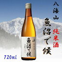 【ふるさと納税】酒 日本酒 純米酒 八海山 魚沼で候 1本 × 720ml | お酒 さけ 人気 おすすめ 送料無料 ギフト