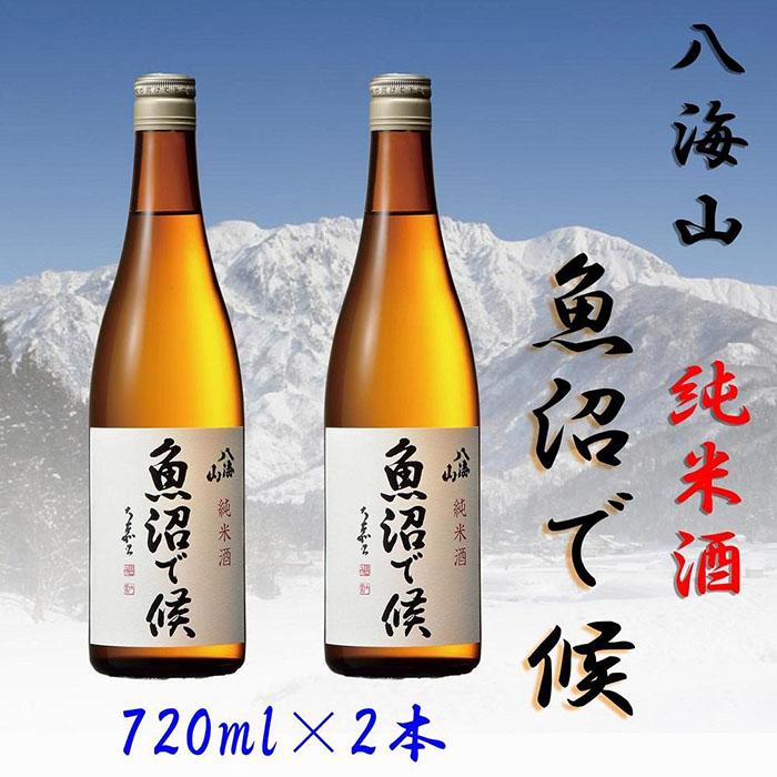 【ふるさと納税】酒 日本酒 セット 2本 × 720ml ( 八海山 純米酒 魚沼で候 ) | お酒 さけ 人気 おすすめ 送料無料 ギフト