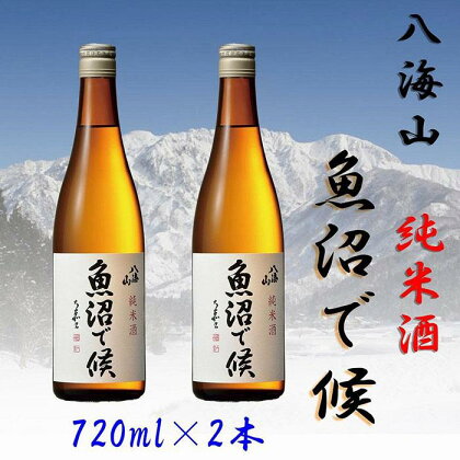 酒 日本酒 セット 2本 × 720ml ( 八海山 純米酒 魚沼で候 ) | お酒 さけ 人気 おすすめ 送料無料 ギフト