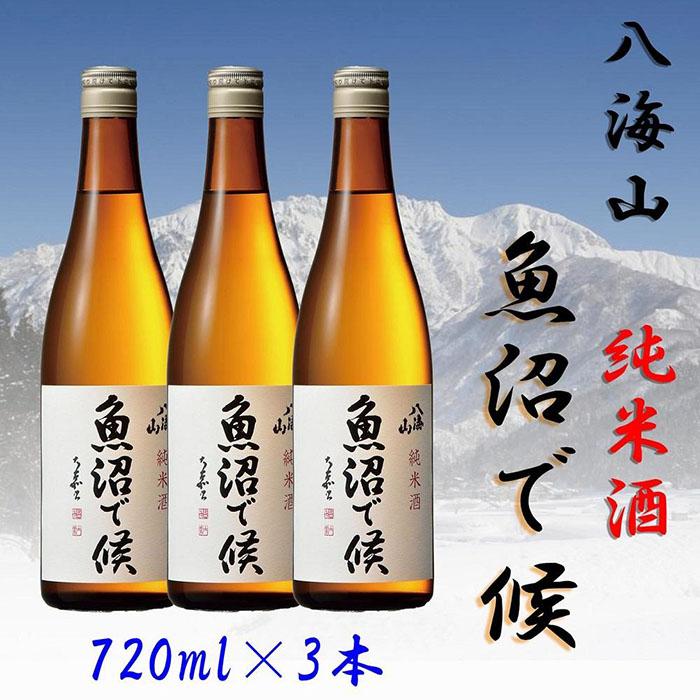 【ふるさと納税】酒 日本酒 セット 3本 × 720ml (