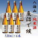 【ふるさと納税】酒 日本酒 セット 6本 × 720ml ( 八海山 純米酒 魚沼で候 ) | お酒 さけ 人気 おすすめ 送料無料 ギフト