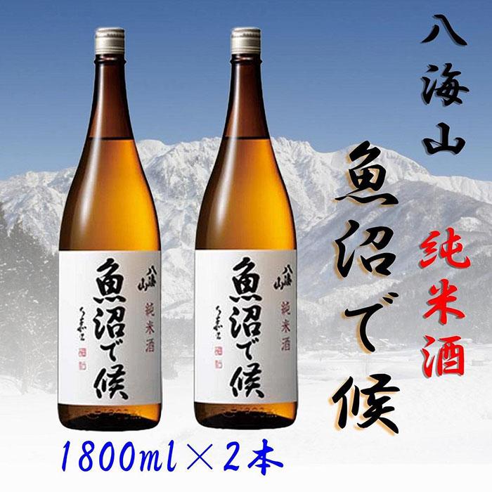 【ふるさと納税】酒 日本酒 セット 2本 × 1800ml ( 八海山 純米酒 魚沼で候 ) | お酒 さけ 人気 おすすめ 送料無料 ギフト