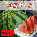 ・ふるさと納税よくある質問はこちら ・寄付申込みのキャンセル、返礼品の変更・返品はできません。あらかじめご了承ください。 ・ご要望を備考に記載頂いてもこちらでは対応いたしかねますので、何卒ご了承くださいませ。 ・寄付回数の制限は設けておりません。寄付をいただく度にお届けいたします。 商品概要 「八色原すいか」はシャリとしたバツグンの舌ざわり、「甘い」と評判の全国的に有名な高級ブランドすいかです！ なぜ、「甘い」のか？甘いスイカ作りの秘密は畑の目の前に広がる八海山。八海山が噴火して積もった水はけのよい火山灰土の畑で、八海山から大量に流れるミネラルたっぷりの雪解け水をスイカに与えている。また、生産地の八色原は昼夜の寒暖の差が大きく、黒色火山灰土の土壌など、すいか栽培に最適な条件を備えた土地で、日中は日差しで暖められ、夜は低温で冷やされます。この繰り返しが糖度を高くします。これが八色原すいかの美味しさの秘密なのです。 真っ赤な果肉ギッシリと詰まった『八色原すいか』シャリッとしたすいかの歯ごたえ、ジュワッと広がるすいかの果汁！ 暑い夏、ひんやり冷やした極上すいかで夏のひとときを満喫してください！ ※写真はイメージです。 ※受付順に順次発送するため、お届けまでお時間を頂いております。 ※天候等により農産物の育成に影響が出た場合、ご希望の時期に配送できないことがあります。 ※着日指定配送は出来かねます。ご了承ください。 【お問合せ】発送事業者（中島屋商事　TEL：025-782-1345） 関連キーワード：フルーツ 果物 くだもの 食品 人気 おすすめ 送料無料 内容量・サイズ等 原材料：八色原すいか大玉 内容量：1玉 （1玉：約6～9kg） ※1玉は重さの選定しております。 賞味期限 5日～7日※到着後出来るだけ早くお召し上がりください。 配送方法 常温 発送期日 2024年7月20日～2024年8月20日の期間に受付順に順次発送予定。※発送時期は予定になります。収穫の状況により、前後する場合がありますのでご了承ください。※青果物の為、天候等の影響で発送時期が前後する場合がありますのでご了承ください。※着日指定配送は出来かねます。ご了承ください。 名称 八色原西瓜 大玉 産地名 新潟県南魚沼市 保存方法 常温保存 事業者情報 事業者名 中島屋商事 連絡先 025-782-1345 営業時間 09：00-17：00 定休日 土曜・日曜・祝祭日・年末年始「ふるさと納税」寄付金は、下記の事業を推進する資金として活用してまいります。 （1）南魚沼市の応援 （2）保健・医療・福祉 （3）教育・スポーツ・文化の振興 （4）産業振興・環境共生 （5）都市基盤・行財政改革 （6）国際大学の応援と交流の推進 （7）北里大学の応援と交流の推進