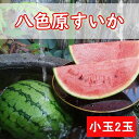 12位! 口コミ数「0件」評価「0」【新潟県 南魚沼産】八色原西瓜 小玉2玉