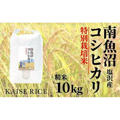 南魚沼産塩沢コシヒカリ【従来品種】（特別栽培米8割減農薬）精米10kg | お米 こめ 白米 コシヒカリ 食品 人気 おすすめ 送料無料 魚沼 南魚沼 南魚沼市 新潟県産 新潟県 精米 産直 産地直送 お取り寄せ