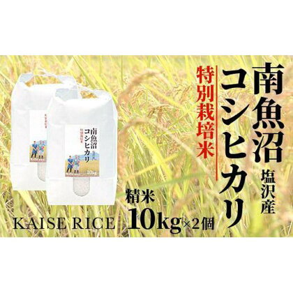 南魚沼産塩沢コシヒカリ【従来品種】（特別栽培米8割減農薬）精米10kg×2個