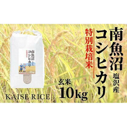 南魚沼産塩沢コシヒカリ【従来品種】（特別栽培米8割減農薬）玄米10kg | お米 こめ 食品 コシヒカリ 人気 おすすめ 送料無料 魚沼 南魚沼 南魚沼市 新潟県 玄米 産直 産地直送 お取り寄せ