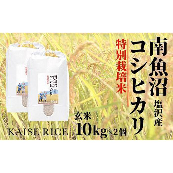 南魚沼産塩沢コシヒカリ【従来品種】（特別栽培米8割減農薬）玄米10kg×2個 | お米 こめ 食品 コシヒカリ 人気 おすすめ 送料無料 魚沼 南魚沼 南魚沼市 新潟県 玄米 産直 産地直送 お取り寄せ