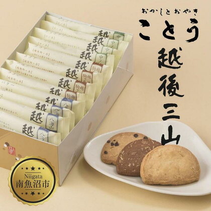 越後三山 山のクッキー 各4枚 計12個 クッキー チョコチップ ココア 和菓子 洋菓子 お菓子 菓子 焼き菓子 セット 菓子詰合せ 詰め合わせ スイーツ ギフト おかしとおやき ことう 新潟県 南魚沼市