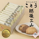 24位! 口コミ数「1件」評価「4」無地熨斗 越後三山 山のクッキー 各4枚 計12個 クッキー チョコチップ ココア 和菓子 洋菓子 お菓子 菓子 焼き菓子 セット 菓子詰合･･･ 