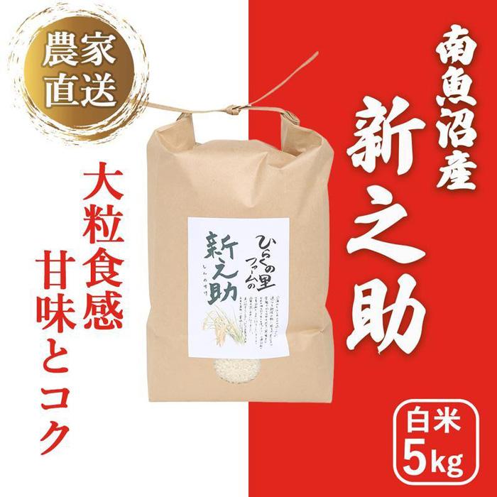 【令和6年産新米予約】南魚沼産新之助 白米5kg きらめく大粒！ ひらくの里ファーム | お米 こめ 白米 新之助 食品 人気 おすすめ 送料無料 魚沼 南魚沼 南魚沼市 新潟県産 新潟県 精米 産直 産地直送 お取り寄せ