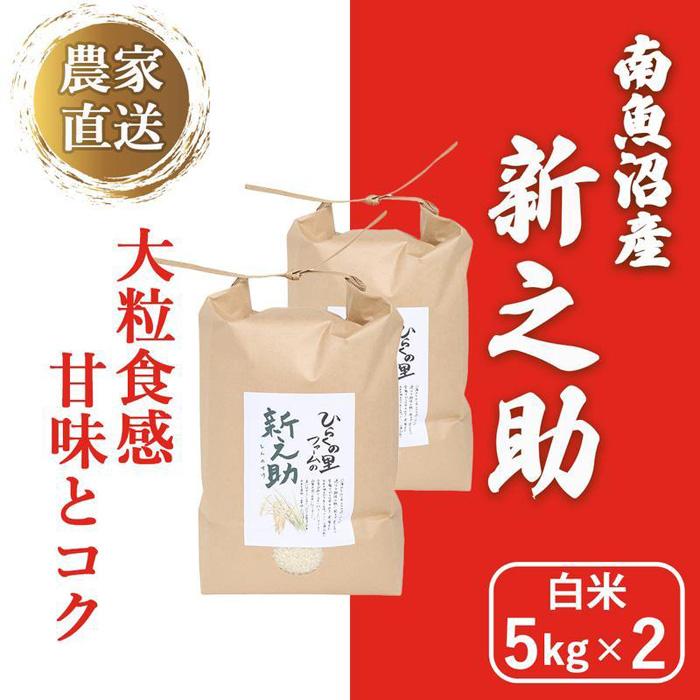 【ふるさと納税】【新米予約】きらめく大粒！南魚沼産新之助 白米5kg×2 ひらくの里ファーム