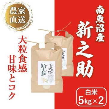 【ふるさと納税】【新米予約】きらめく大粒！南魚沼産新之助 白米5kg×2 ひらくの里ファーム