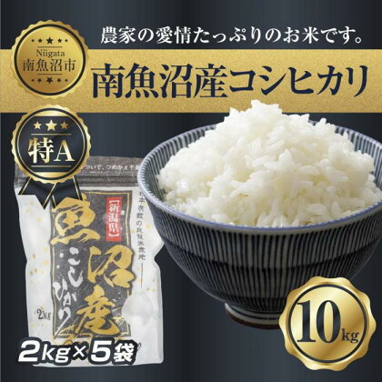 新潟県 南 魚沼産 コシヒカリ お米 2kg ×5袋 計10kg（お米の美味しい炊き方ガイド付き）