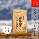 【ふるさと納税】米 玄米 コシヒカリ 南魚沼産 3kg 高級 | お米 こめ 食品 人気 おすすめ 送料無料 魚沼 南魚沼 南魚沼市 新潟県 精米 産直 産地直送 お取り寄せ